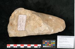 Foto (Objekt + Etikett) von Credneria acuminata Hampe (NHMW-GEO-2024-0188-10598)